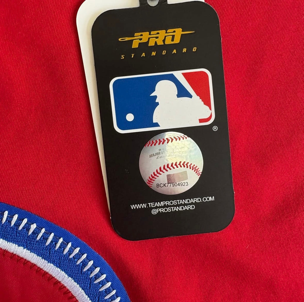 MLB Philadelphia Phillies DIY Pick Stitch Men’s Single Jersey Top