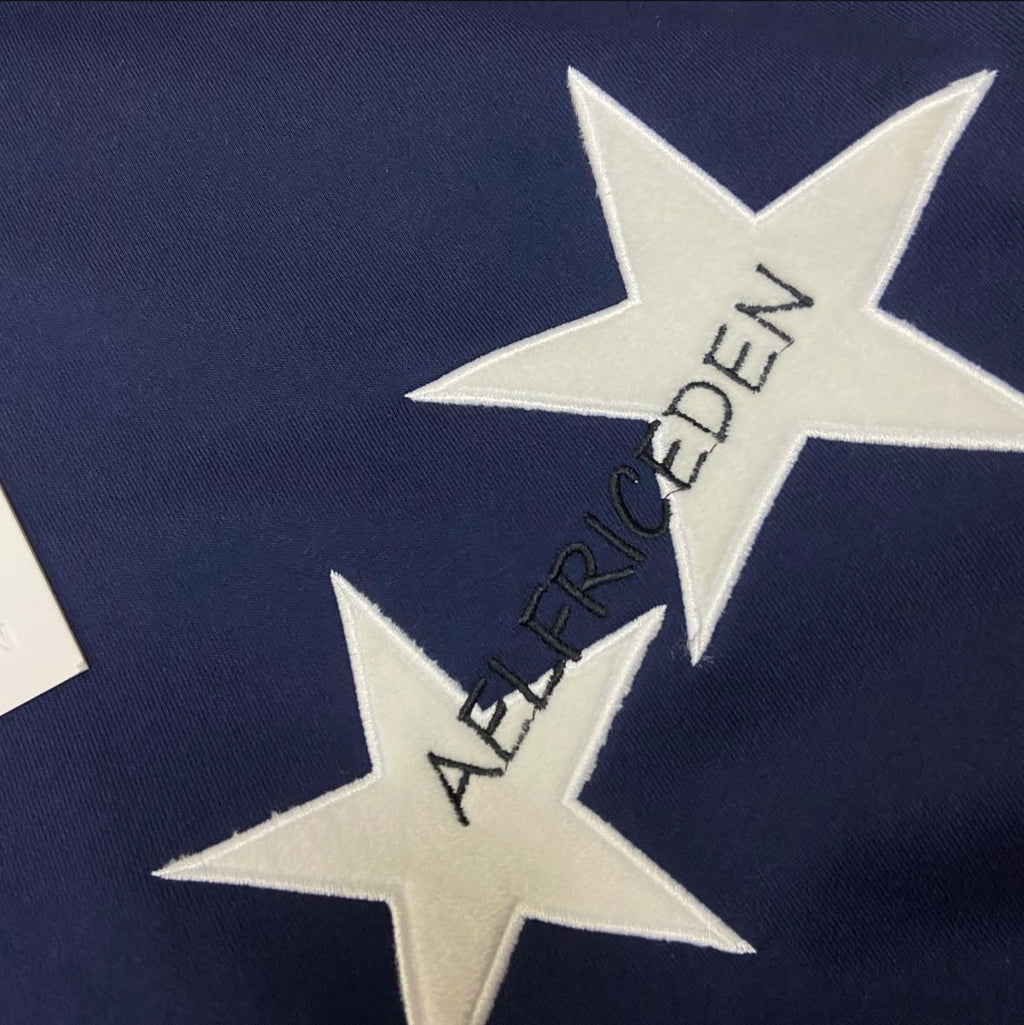 Aelfric Eden Star Print Color Contrast Hoodie