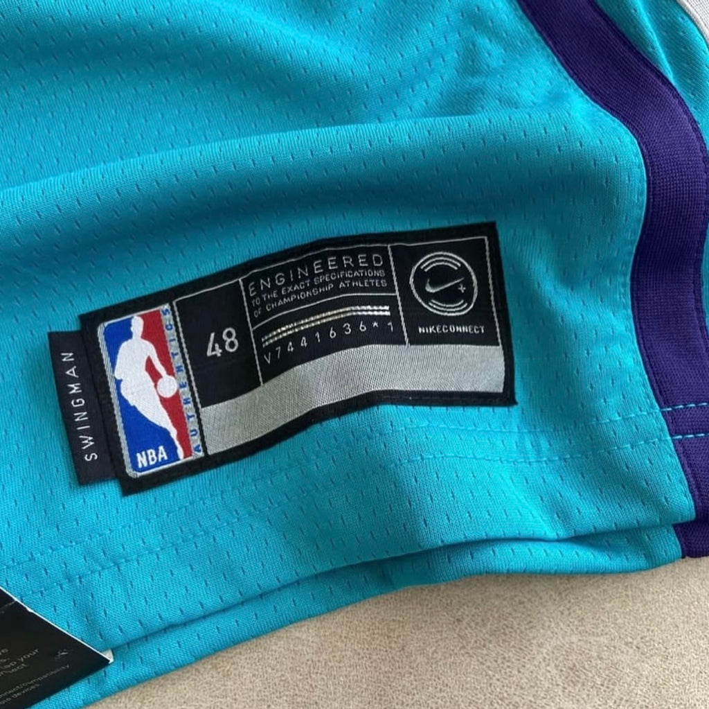 Nike NBA Jordan Edition Charlotte Hornets