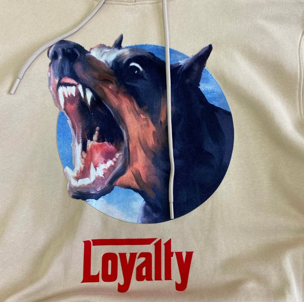 Shop Roku Studio Loyalty Hoodie