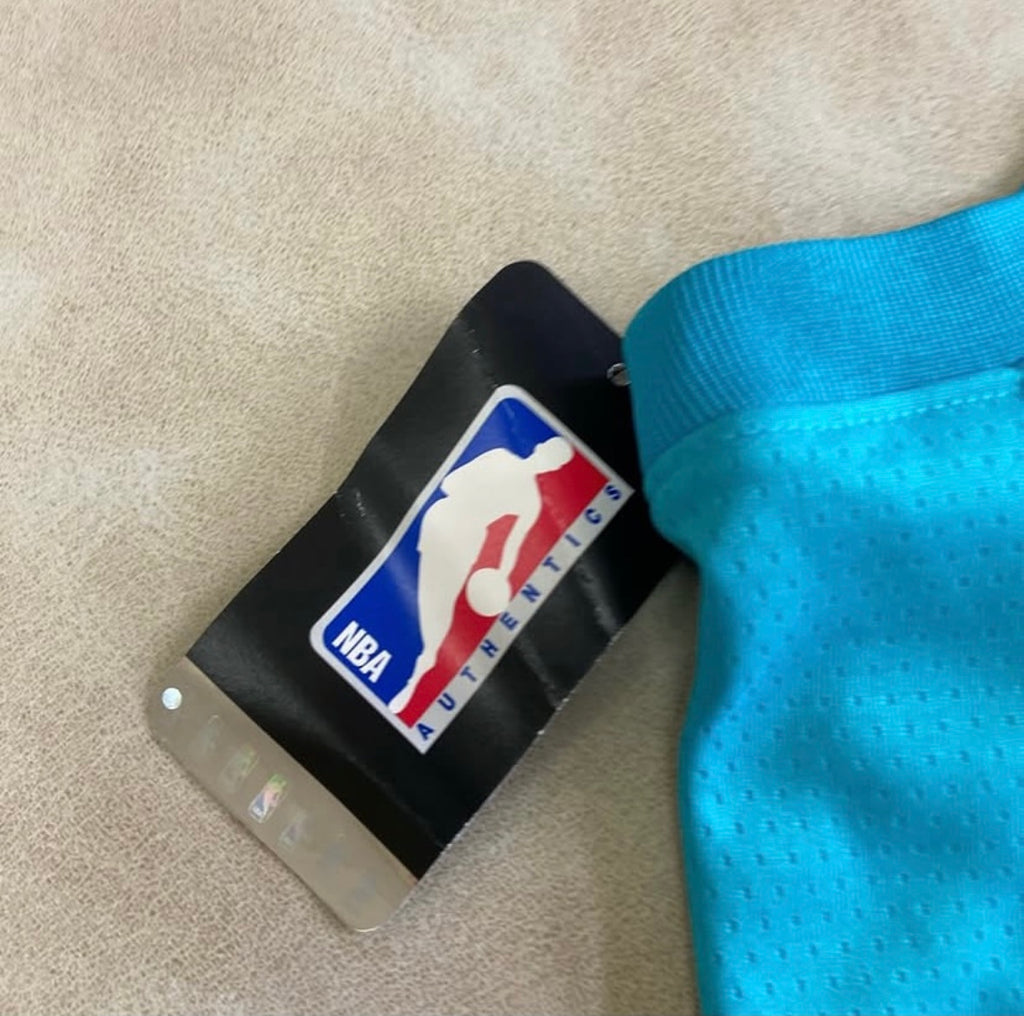 Nike NBA Jordan Edition Charlotte Hornets