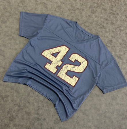 42 Light Blue NFL Jersey