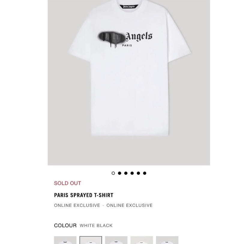 Palm Angels Spray Paris Oversized T-Shirt