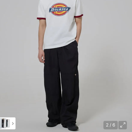 Dickies Skateboarding Double Knee Pant